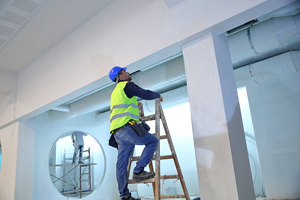 Best Residential Painting  in Ofallon, IL